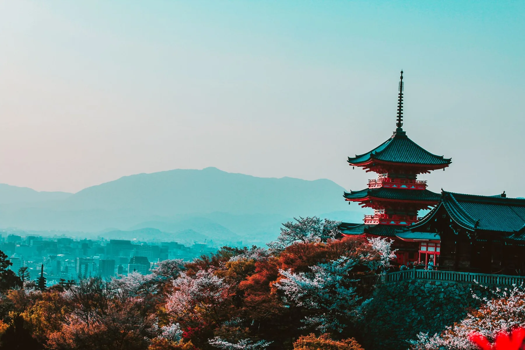 朝霧の京都・朱色の参道と静かな木立